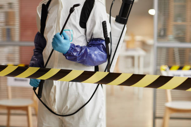 Professional Sewage Cleanup technician working in Russellville, AR